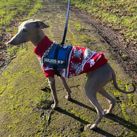 Cute Pet Dog Sweater for Small Dogs Winter Warm Puppy Cat Clothes Dachshund Pullover Mascotas Costume Clothing Roupa Cachorro