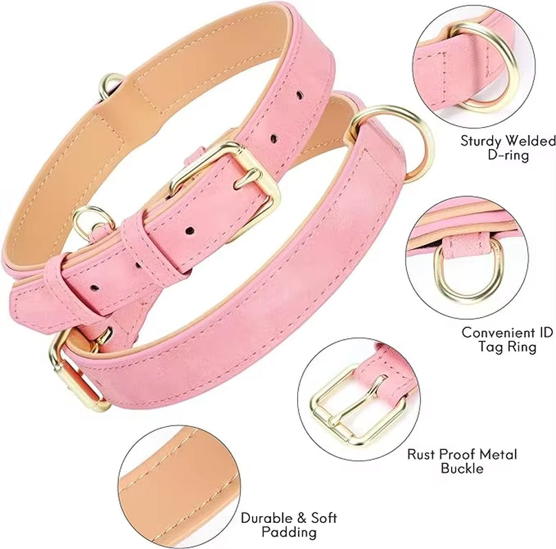 Luxury Leather Dog Leash & Harness