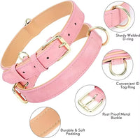 Luxury Leather Dog Leash & Harness