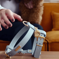 No Pull Heavy Duty Vest Leather Dog Harness