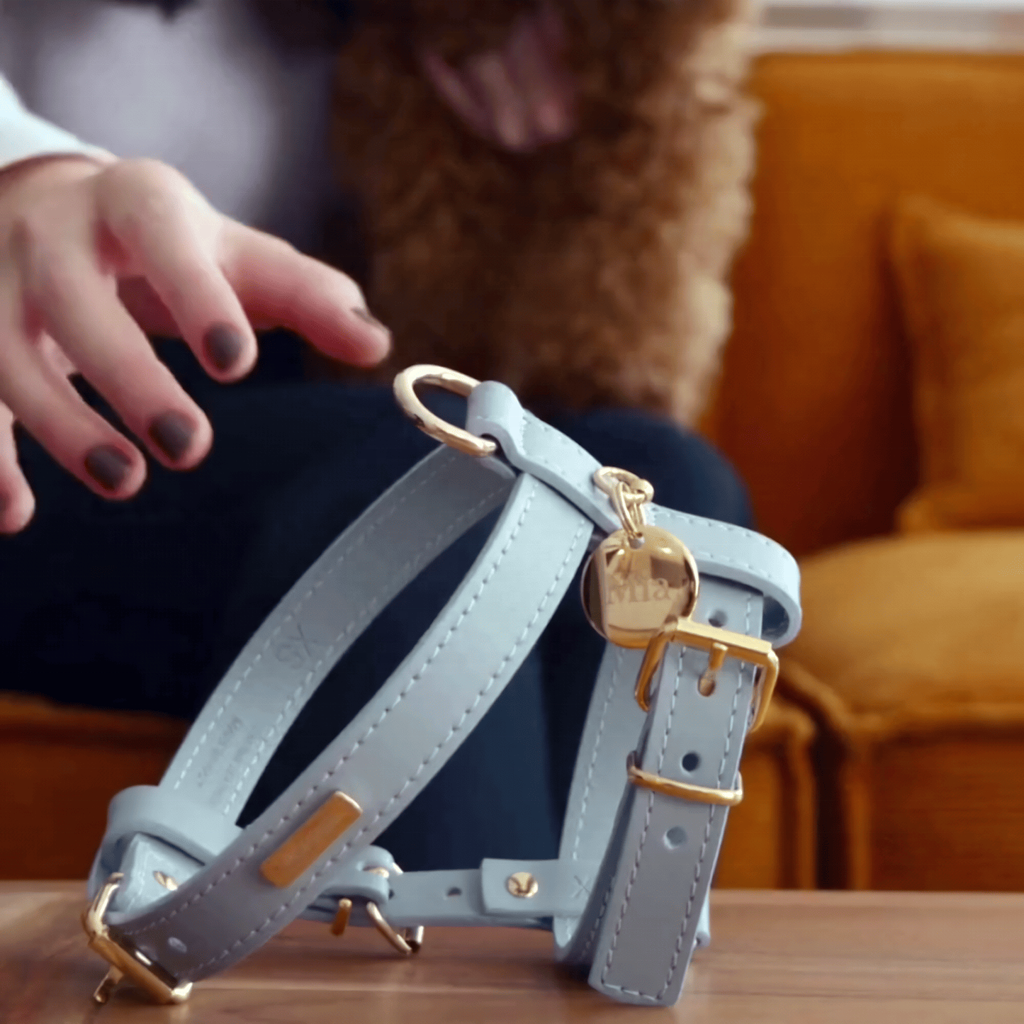 No Pull Heavy Duty Vest Leather Dog Harness