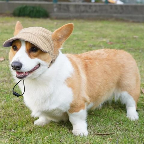 Classy-Sun Protection Hat Adjustable Pet Cat Dog Sun Visor with Ear Holes for Puppies Medium and Large Dogs