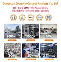 Luxury Leather Dog Leash & Harness