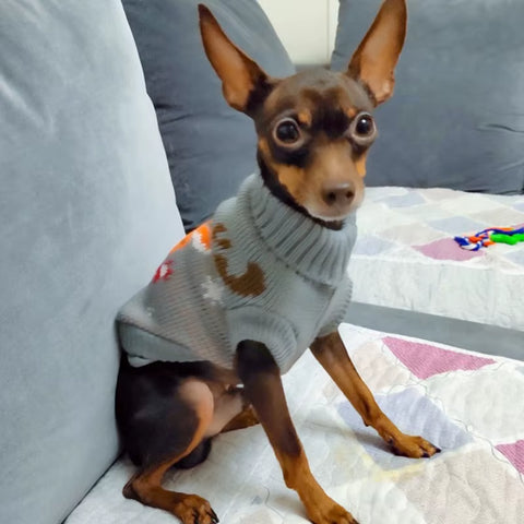 Cute Pet Dog Sweater for Small Dogs Winter Warm Puppy Cat Clothes Dachshund Pullover Mascotas Costume Clothing Roupa Cachorro