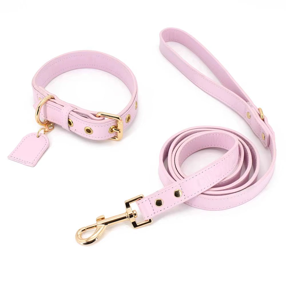 Luxury Leather Dog Leash & Harness