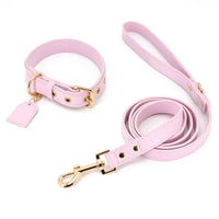 Luxury Leather Dog Leash & Harness