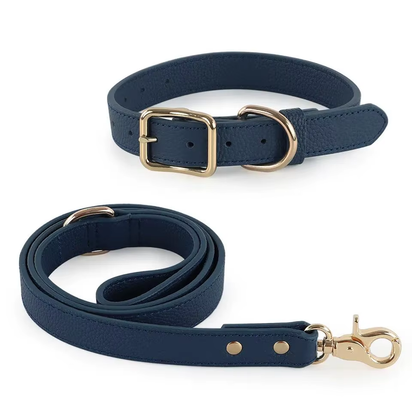 Luxury Leather Dog Leash & Harness