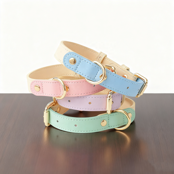 Leather Dog Collar and Leash Set