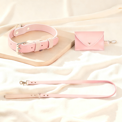 Leather Dog Collar and Leash Set